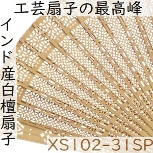 XS102-31SP.jpg